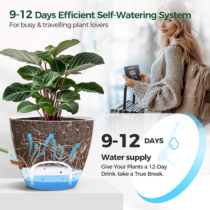 2 Pack 10 Inch Self Watering Pots - Image 5