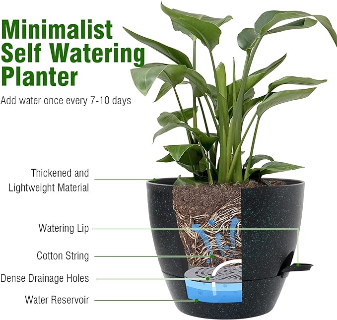 10 inch Self Watering Pots, Plant Pots - Image 5