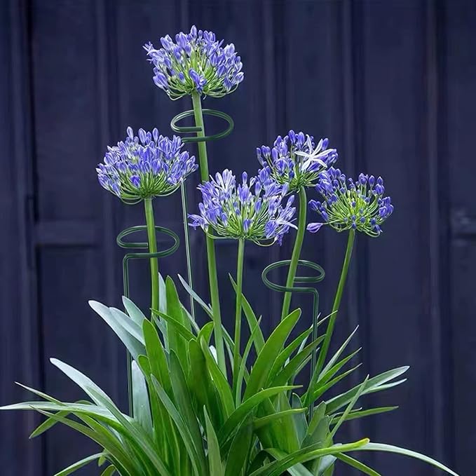 24 Inch 20 Packs Plant Support Stakes, Garden Single stemmed Plant Support - Image 5