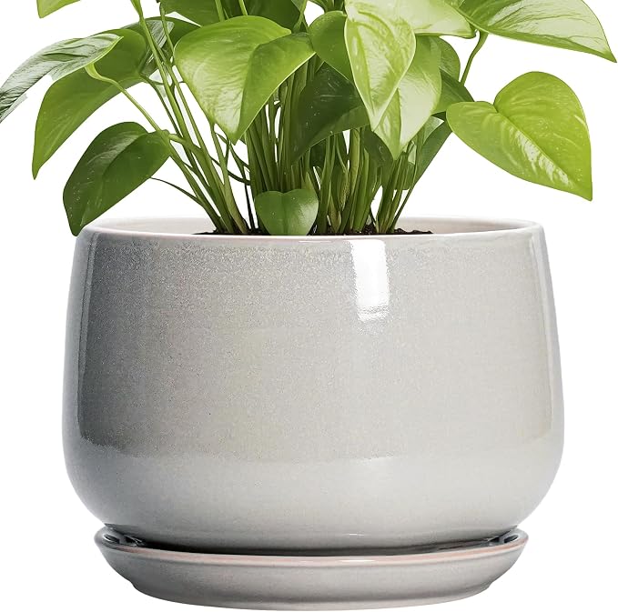G EPGardening Ceramic Plant Pots by GEPGardening