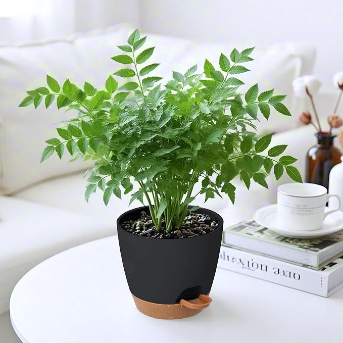 6-Pack Plant Pots with Drainage 7 Inch, Self Watering Pots - Image 6