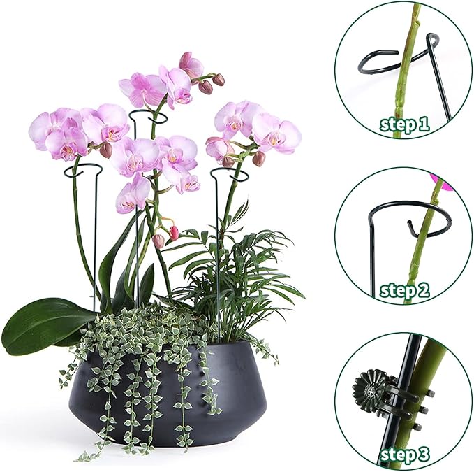 6 Pack Plant Support Stakes - Image 5