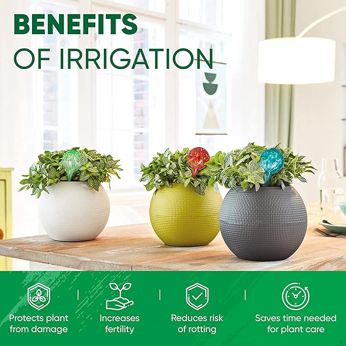 Plant Watering Globes Set of 2 - Image 4