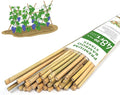 Plant Stakes, 4.8FT Longer Sturdy Natural Bamboo Garden Stakes, GAGINANG 20Pcs by GAGANANG