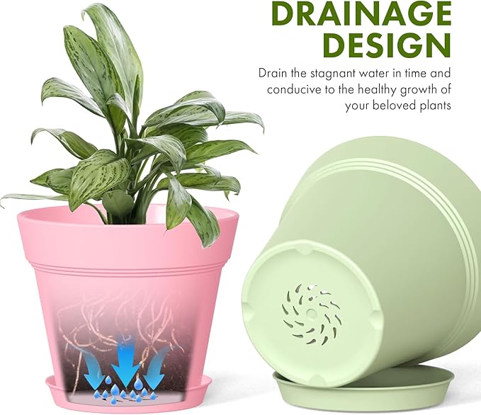 5 Inch Plastic Plant Pots with Drainage Holes and Trays – 6 Pack Small Nursery - Image 4