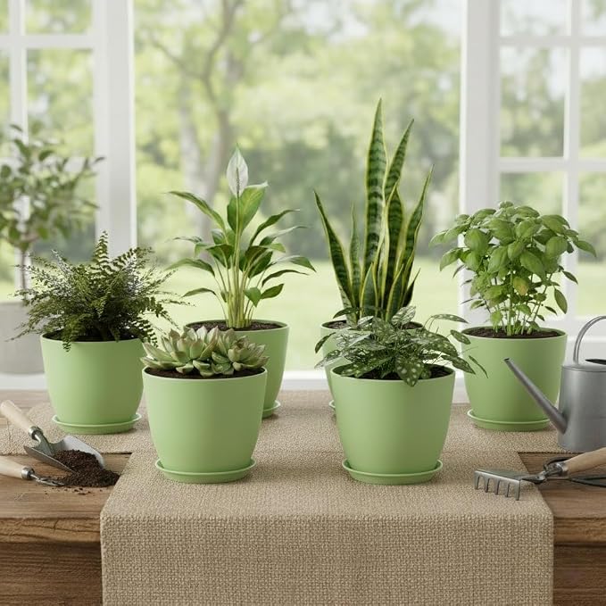 Plant Pots 8 Inch Set of 6, Flower Pots - Image 7
