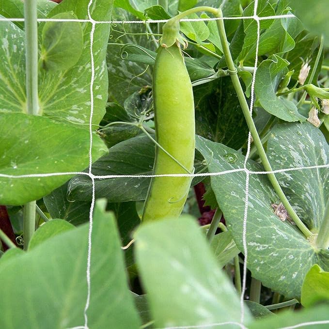 Tcamp Heavy-Duty Polyester Garden Trellis Netting Plant Climbing Net - Image 8