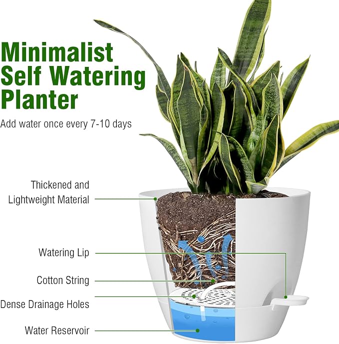 8 inch Self Watering Pots, Plant Pots - Image 5