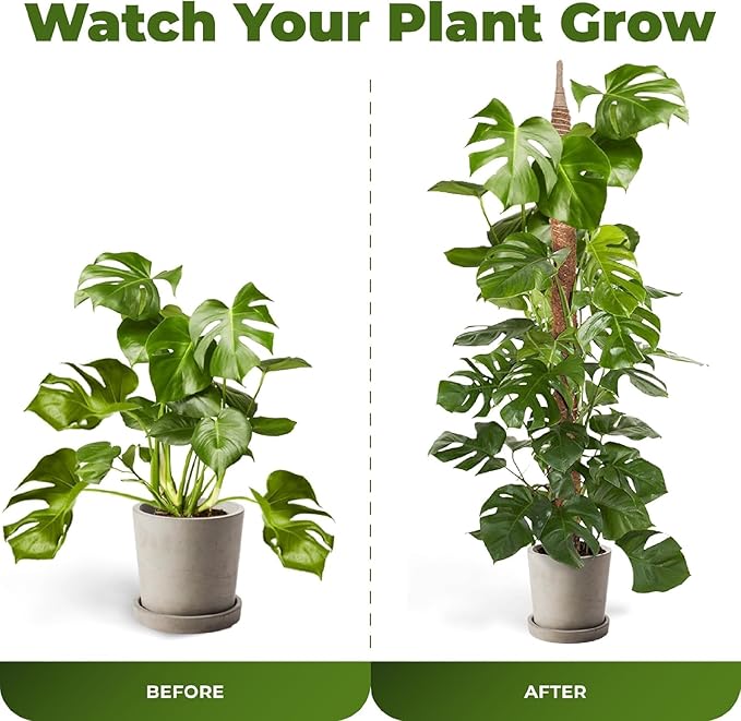 48 Inch Bendable Moss Pole Monstera Plant Support - Image 5