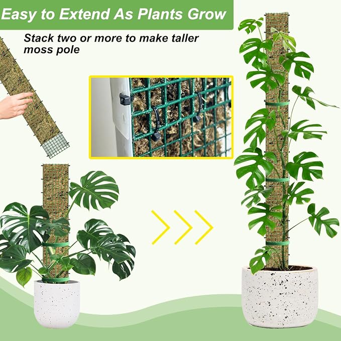 60"/40"/24" Metal Moss Pole, D Shape Sphagnum Moss Pole, Moss Poles - Image 5