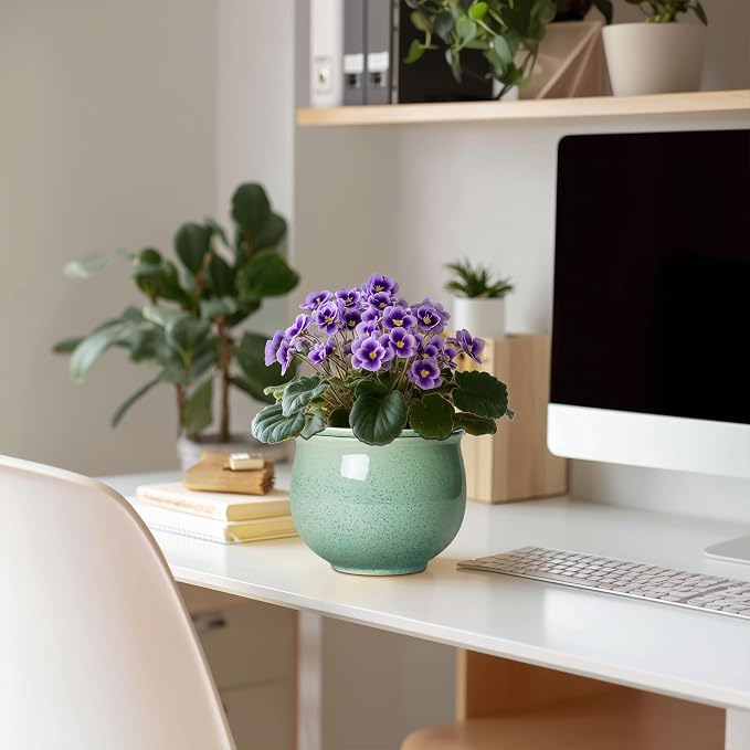 Ceramic Self Watering Pots, 6 Inch African Violet Pots - Image 3