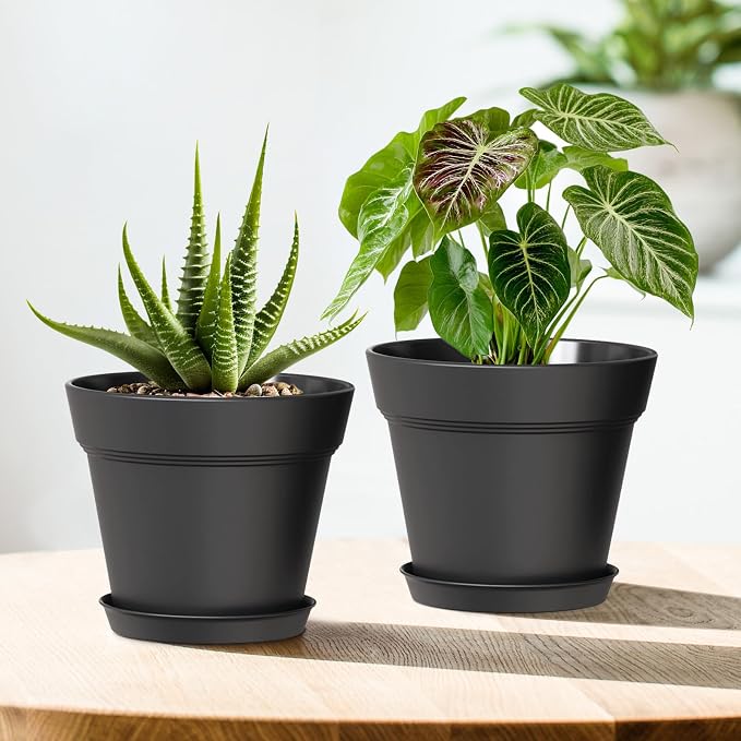 4 Inch Plastic Plant Pots with Drainage Holes and Trays – 8 Pack Small Nursery - Image 5