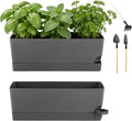 2 Pack Rectangle Self Watering Pots by KvyusFlourish