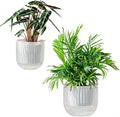 Melphoe Self Watering Pots for Indoor Plants Planter, 6.5/5.3 Inch 2 Pack by Melphoe