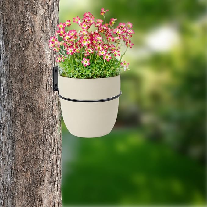 6 Pack 4 Inch Wall Flower Pot Holder Ring Plant Hanger, Metal Planter Hooks - Image 6