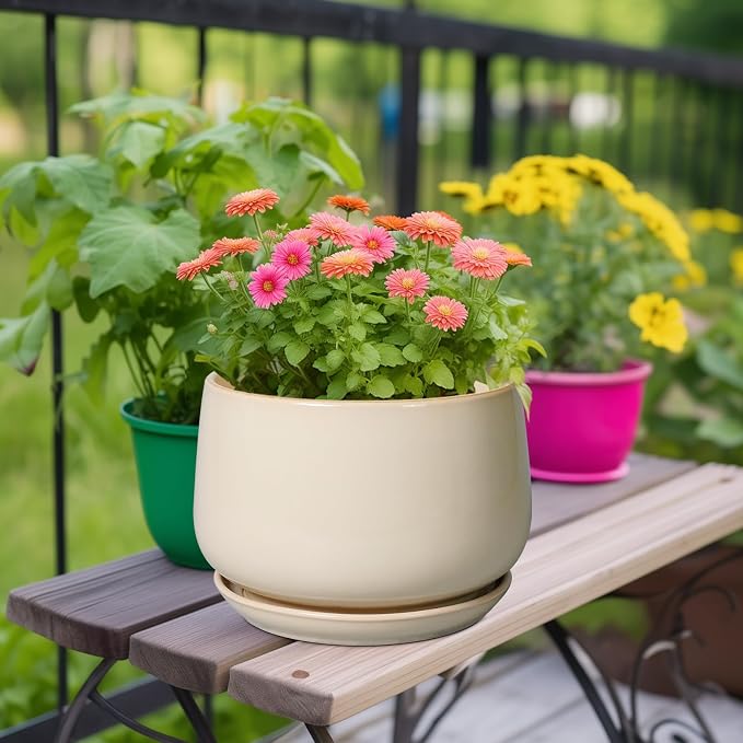 G EPGardening Ceramic Plant Pots - Image 2