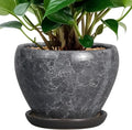 Ceramic Planter by Ceramicfor