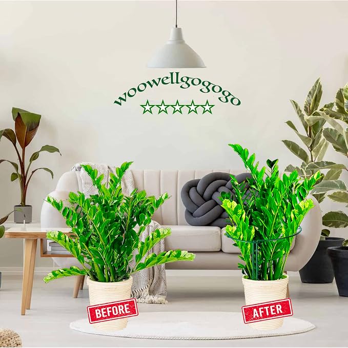 8 Pack Snake Plant Support Stakes - Image 4