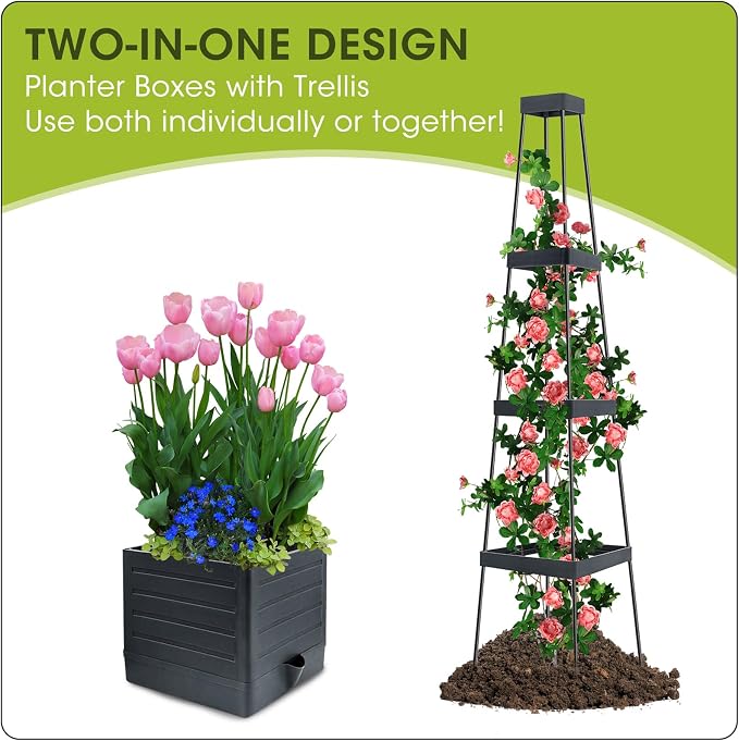 MQFORU Raised Garden Bed, Tomato Cages - Image 5