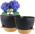 8 inch Self Watering Pots, 2 Pack Plastic Planters by WSMKSZ
