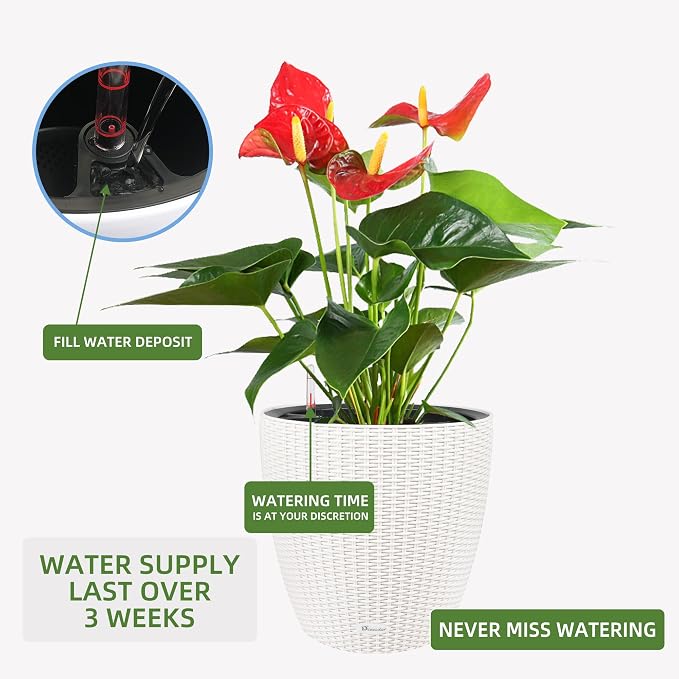 Dexceder 15x14 Rattan Self Watering Planter - Image 5