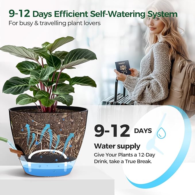 T4U 3 Pack Self Watering Pots - Image 5