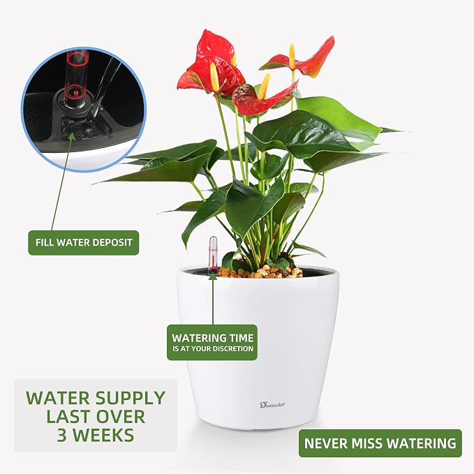 Dexceder 11x10 Inches High Gloss Self Watering Planter Indoor Outdoor, Inner - Image 4