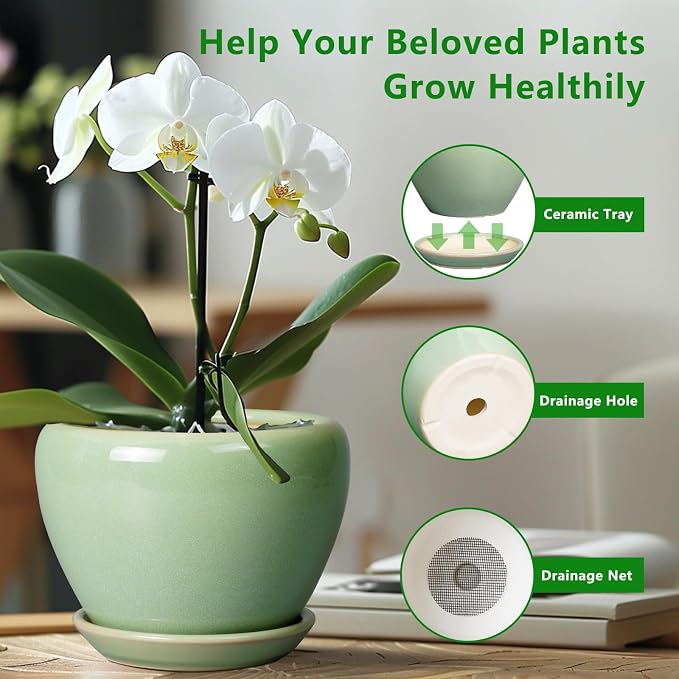 8 Inch Plant Pot - Image 6