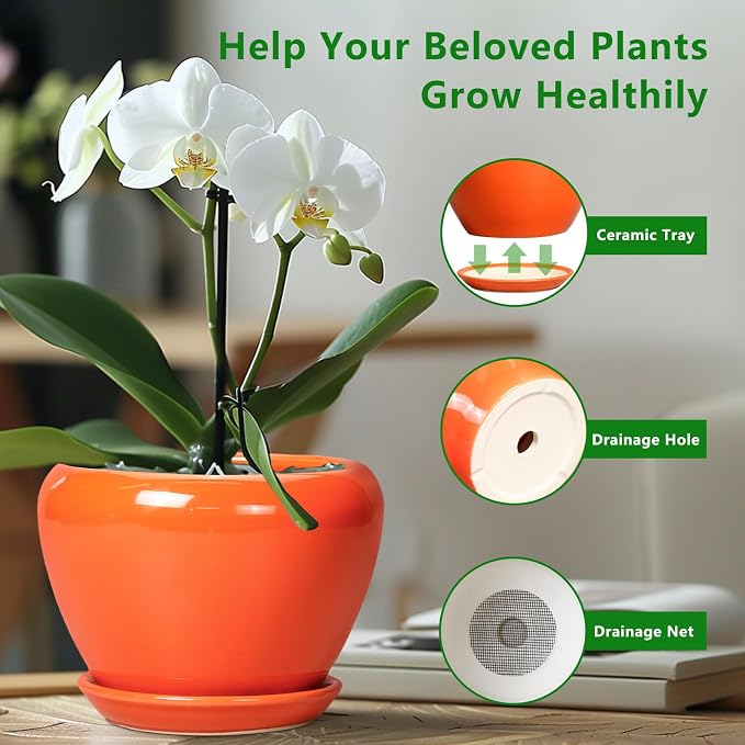 Ceramic Plant Pot 6 Inch - Image 5