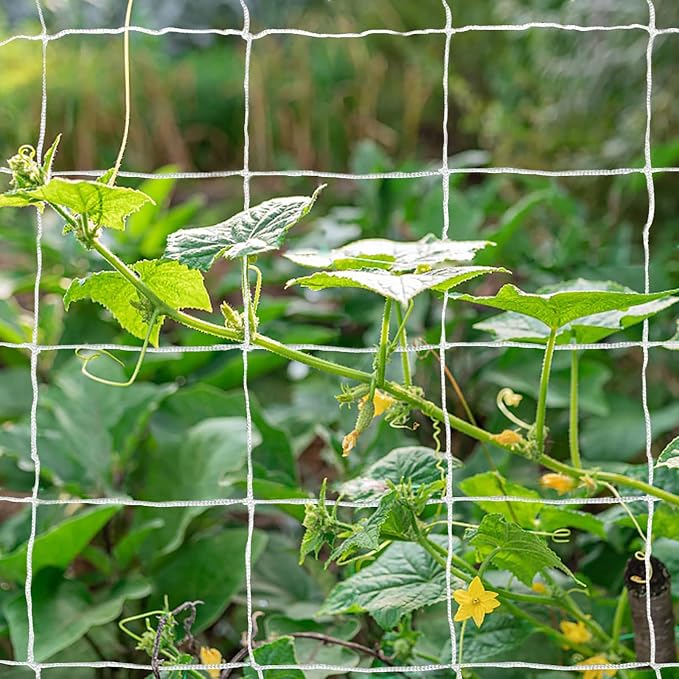 Tcamp Heavy-Duty Polyester Plant Trellis Netting 5 x 30ft - Image 2