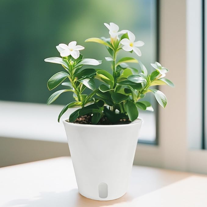TCBWFY 4 Inch Self Watering Pots - Image 6