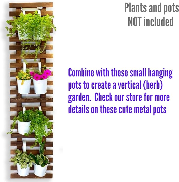 ShopLaLa Wall Planter for Climbing Plants Outdoor - Image 3