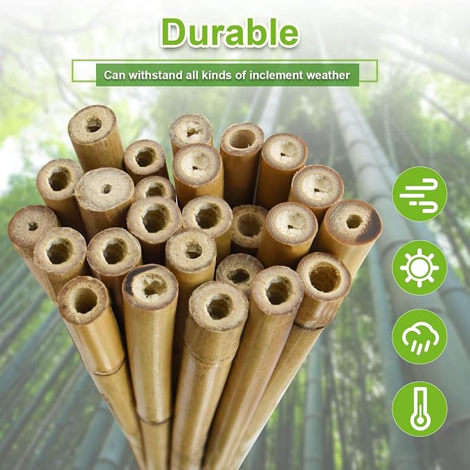 30pcs 3/10" D Thicker Heavy Duty Bamboo Stakes, 2FT Plant Stakes, Natural - Image 4