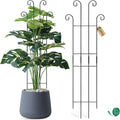 Coomin 32.6in Monstera Plant Support Stakes by COOMIN