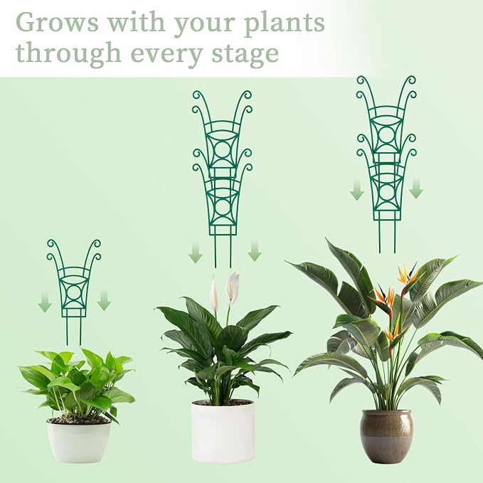 8 Pack Trellis for Potted Plants, Stackable Indoor Plant Trellis for Climbing - Image 3
