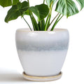 Ceramic Pots for Plants by EPFamily