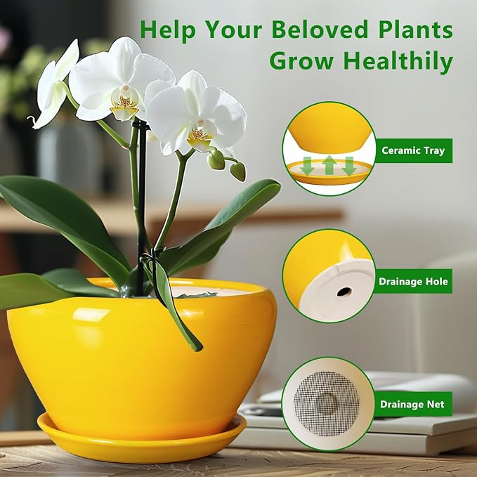 Ceramic Planter for Indoor Plants - Image 6