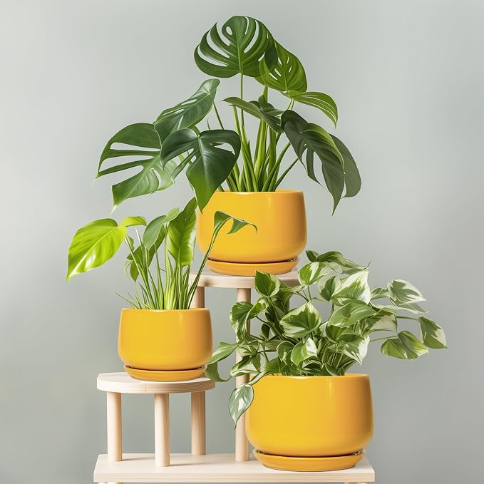 G EPGardening Ceramic Plant Pot - Image 8