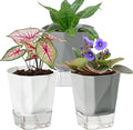 3 Pack Self Watering Flower Pots 6.5 Inch, Plant Pots by Samhe