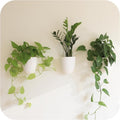 PlantPod Classic by MakeGood