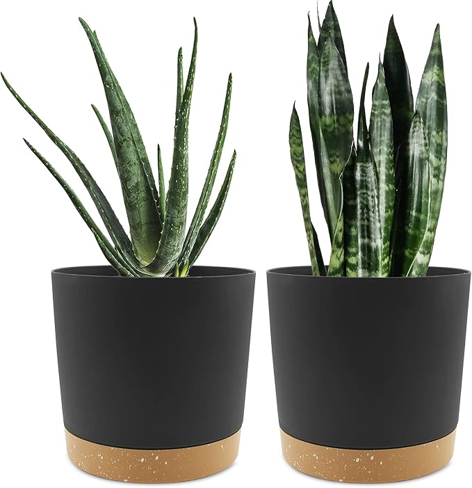 QCQHDU 8 inch Plant Pot, 2 Pack Planters by QCQHDU