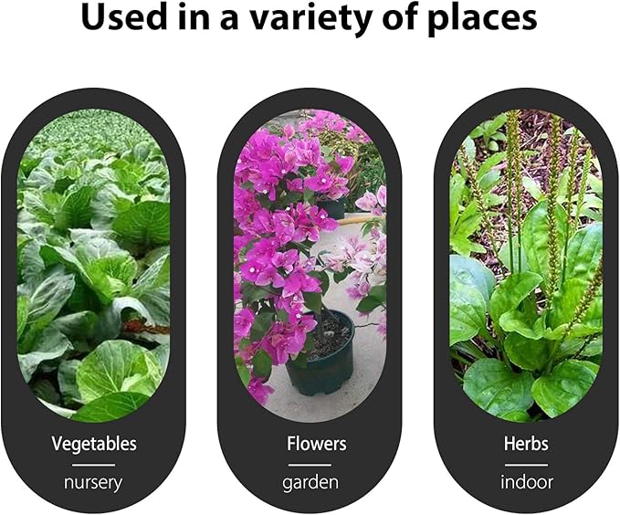 Blue Plant labels - Image 6
