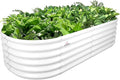 A ANLEOLIFE 6X2X1.5 ft Galvanized Raised Garden Beds Outdoor, Oval Round Metal by AAnleolife