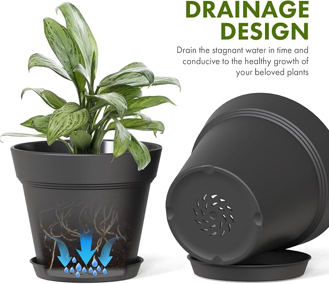 5 Inch Plastic Plant Pots with Drainage Holes and Trays – 6 Pack Small Nursery - Image 4