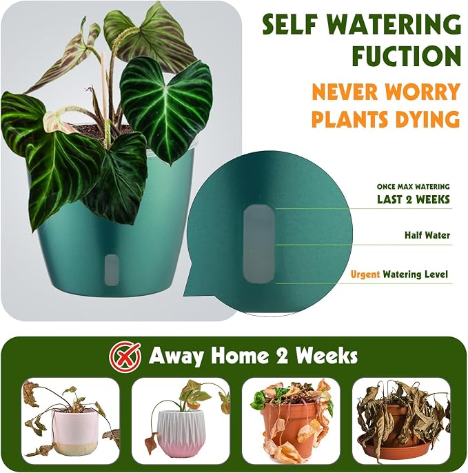 Self-Watering Pots for Indoor Plants, Small African Violet Pots - Image 3