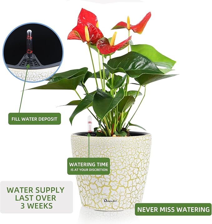 Dexceder 9x8 Inches Self Watering Planter Indoor Outdoor, Inner Pot Design - Image 5