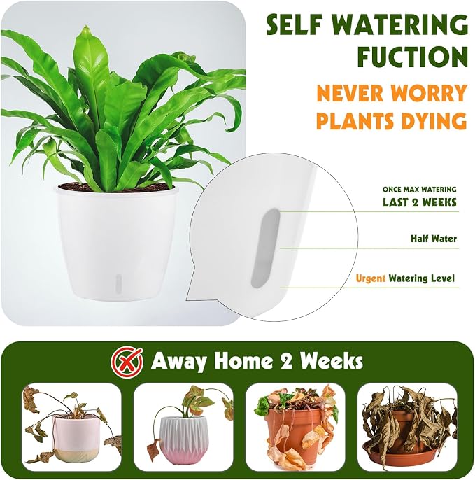 Self Watering Pots for Indoor Plants, Small African Violet Pots - Image 3