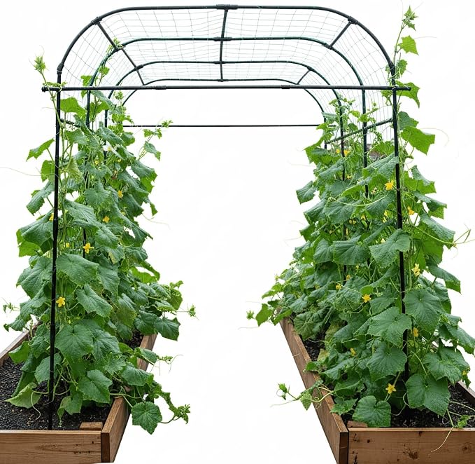 Wide Arch Trellis 7FT Extra Tall Garden Trellis Arch – Sturdy Plastic Coated by GardenArchTrellisforPlants
