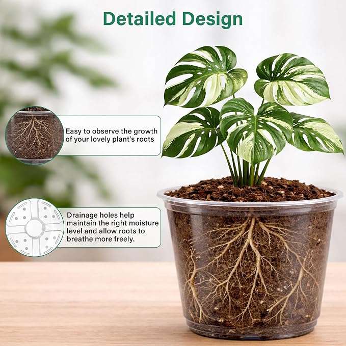 20 Pack 8/6/5/4/3.5 Inch Reinforced Large Clear Nursery Pots - Image 3