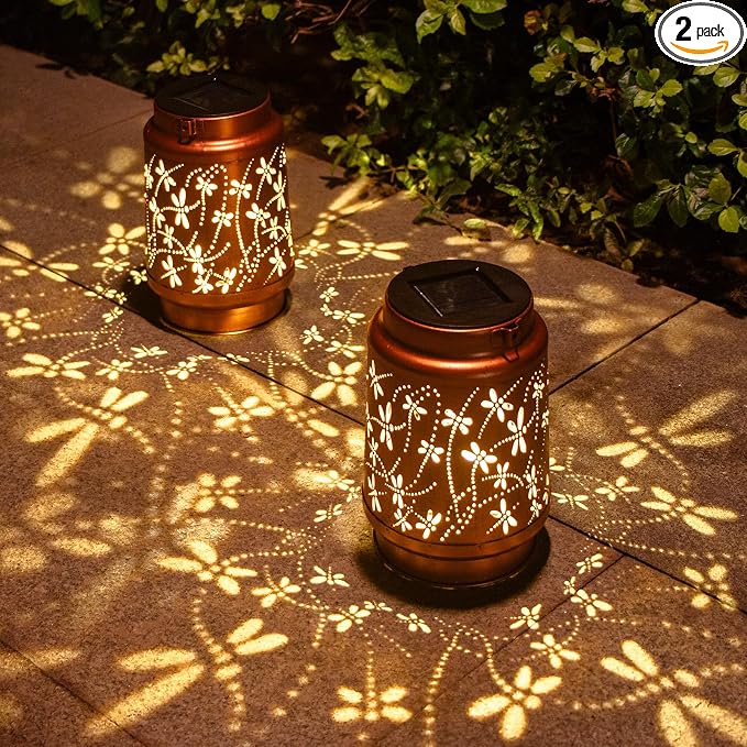 2 Pack Dragonfly Birthday Gifts by DIBIEECN